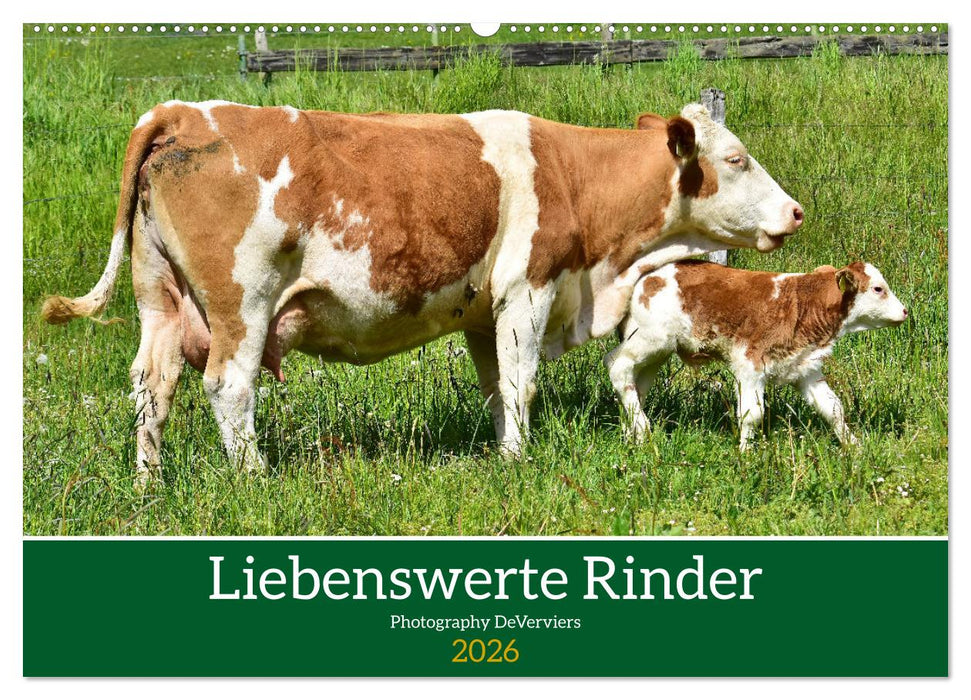 Liebenswerte Rinder (CALVENDO Wandkalender 2026)