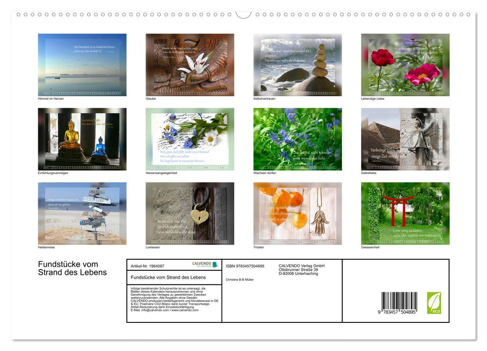Fundstücke vom Strand des Lebens (CALVENDO Premium Wandkalender 2026)