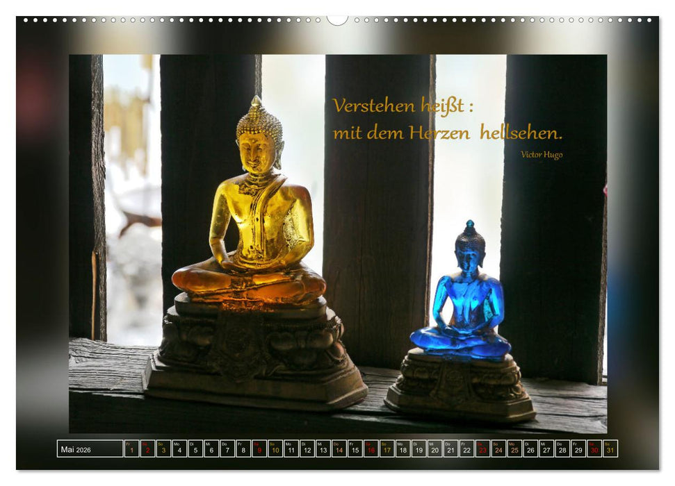 Fundstücke vom Strand des Lebens (CALVENDO Premium Wandkalender 2026)