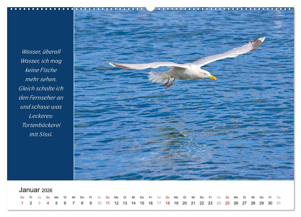 Tiere und feiner Humor (CALVENDO Premium Wandkalender 2026)