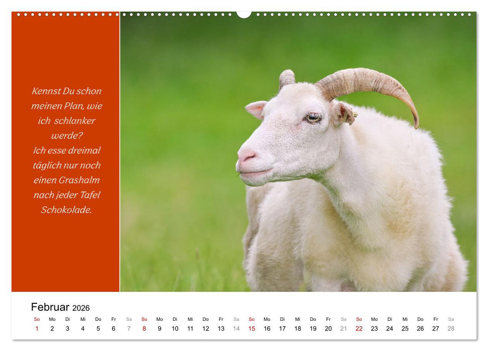 Tiere und feiner Humor (CALVENDO Premium Wandkalender 2026)
