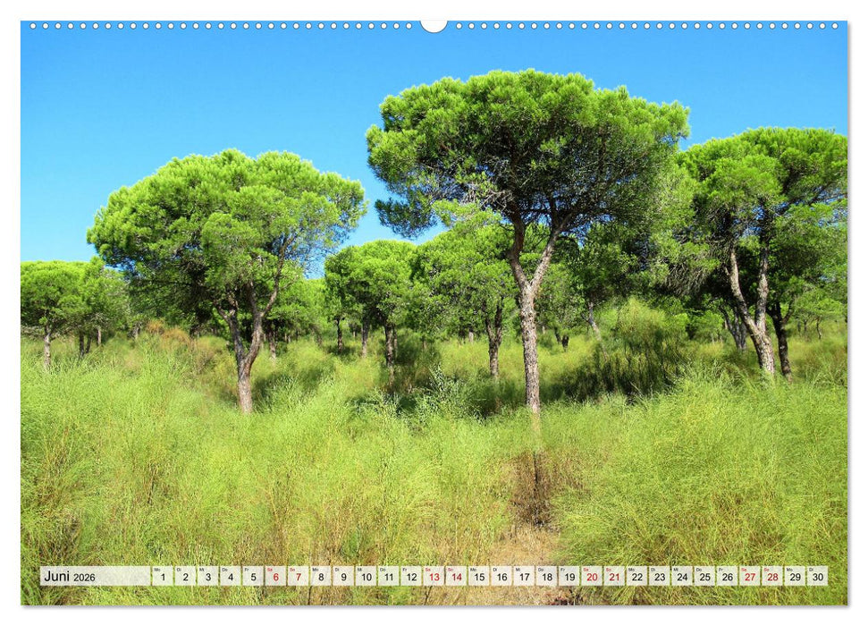 Entlang der Costa de la Luz (CALVENDO Premium Wandkalender 2026)