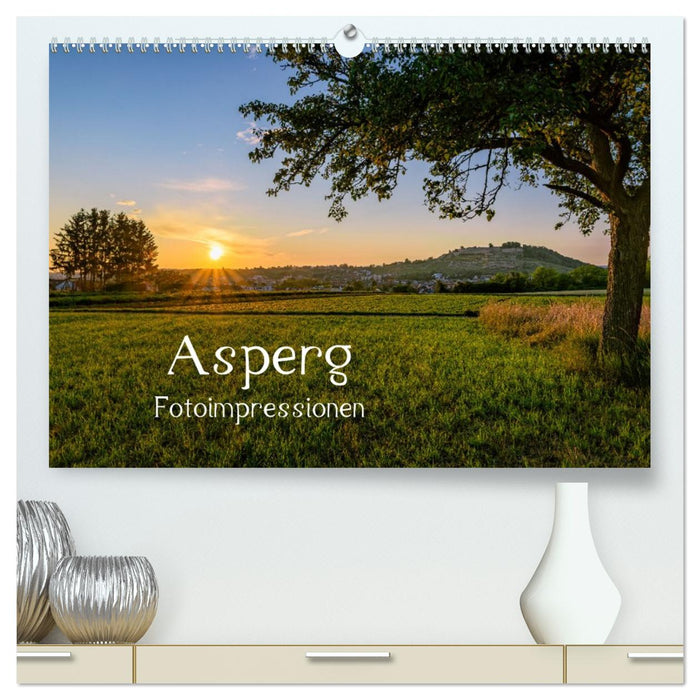 Asperg - Fotoimpressionen (CALVENDO Premium Wandkalender 2026)