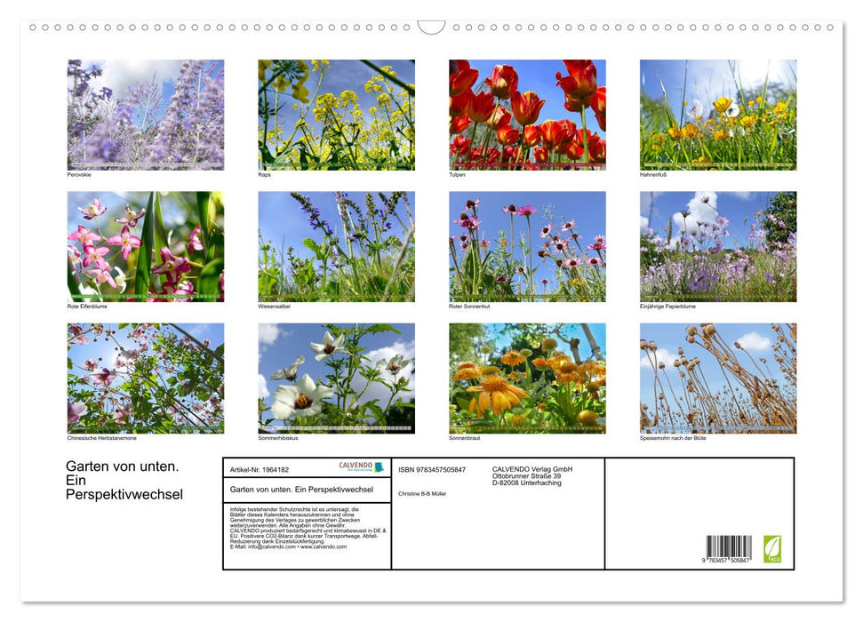 Garten von unten. Ein Perspektivwechsel (CALVENDO Wandkalender 2026)