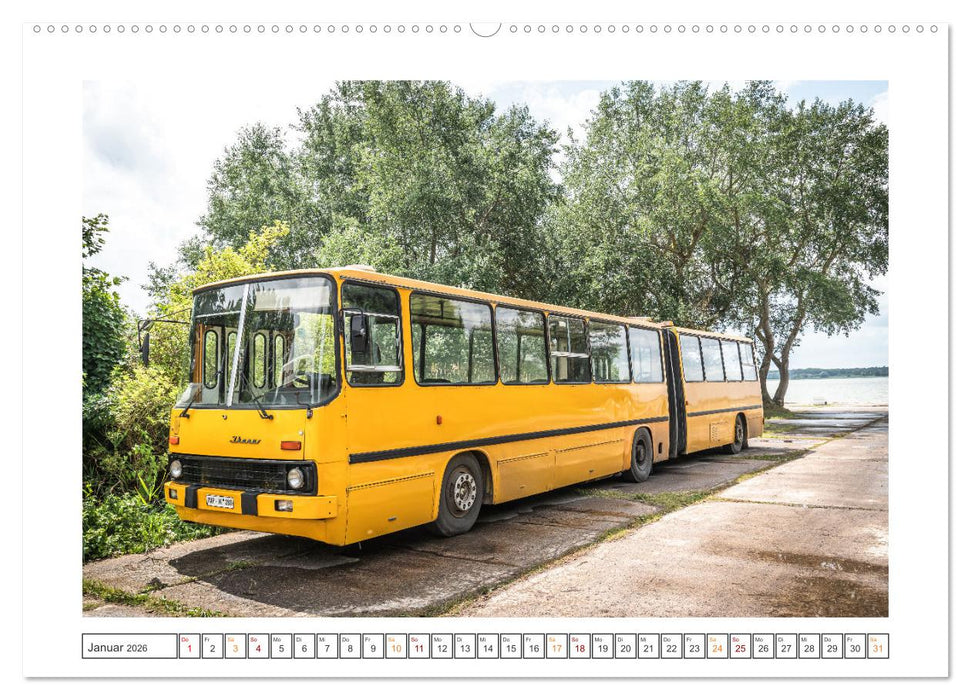 Technik-Museum Pütnitz (CALVENDO Premium Wandkalender 2026)