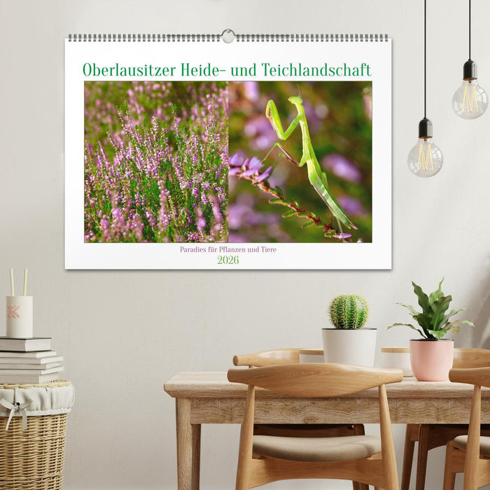 Oberlausitzer Heide- und Teichlandschaft (CALVENDO Wandkalender 2026)