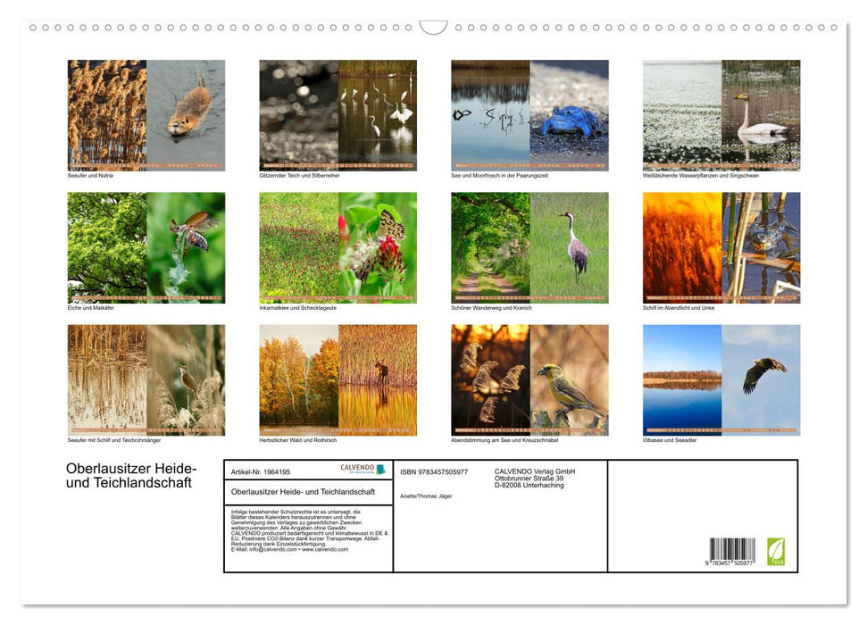 Oberlausitzer Heide- und Teichlandschaft (CALVENDO Wandkalender 2026)
