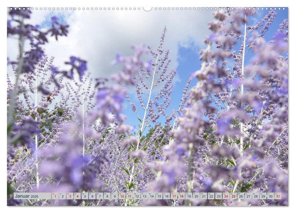 Garten von unten. Ein Perspektivwechsel (CALVENDO Premium Wandkalender 2026)