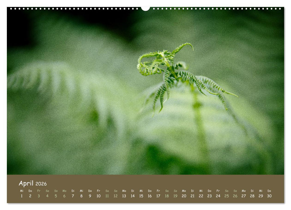 Schottland - Reise durch die Highlands und zur Isle of Skye (CALVENDO Wandkalender 2026)