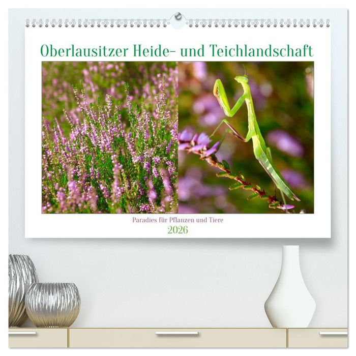 Oberlausitzer Heide- und Teichlandschaft (CALVENDO Premium Wandkalender 2026)