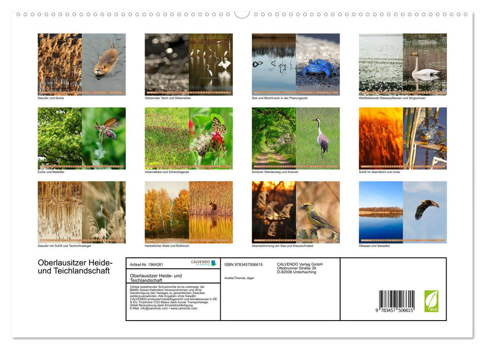 Oberlausitzer Heide- und Teichlandschaft (CALVENDO Premium Wandkalender 2026)