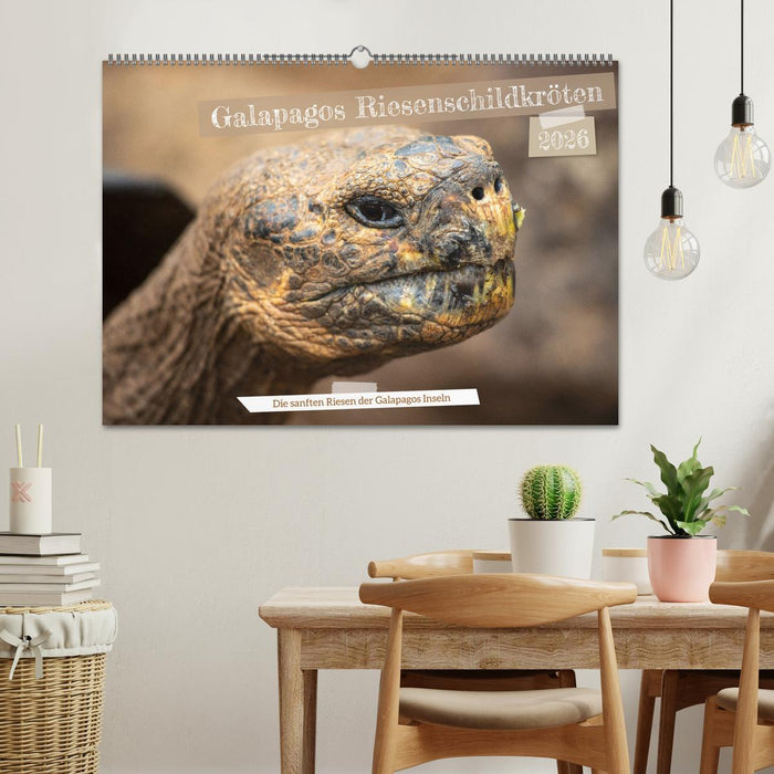 Die Riesenschildkröten der Galapagos Inseln (CALVENDO Wandkalender 2026)