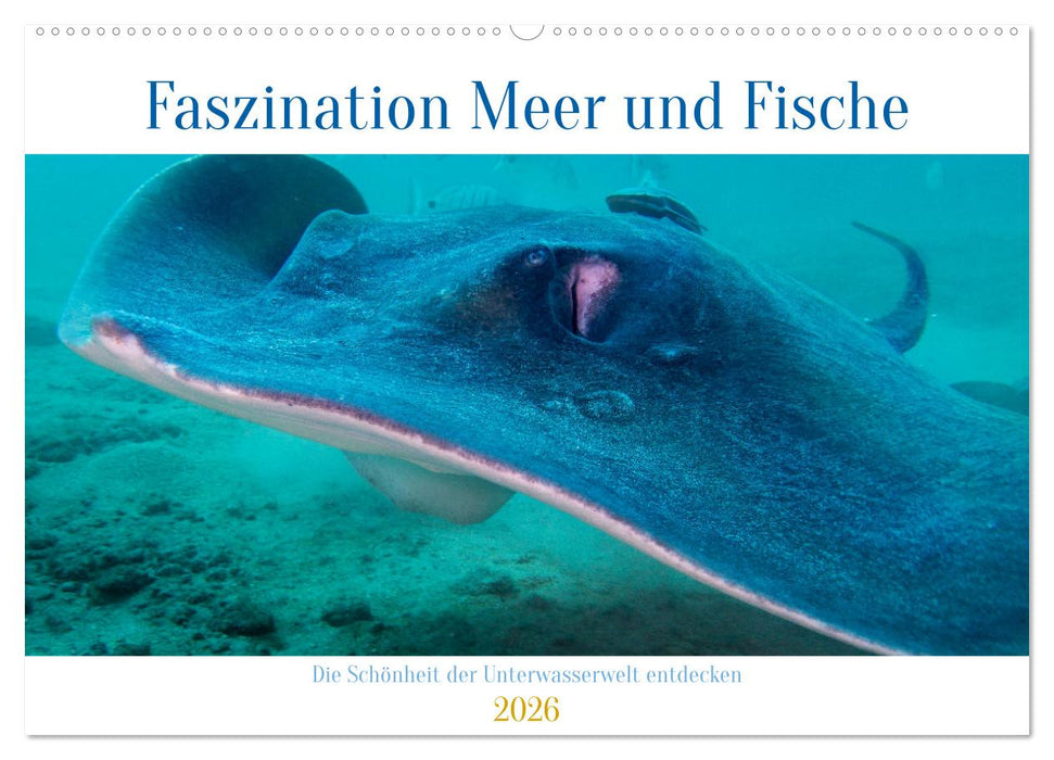 Faszination Meer und Fische (CALVENDO Wandkalender 2026)