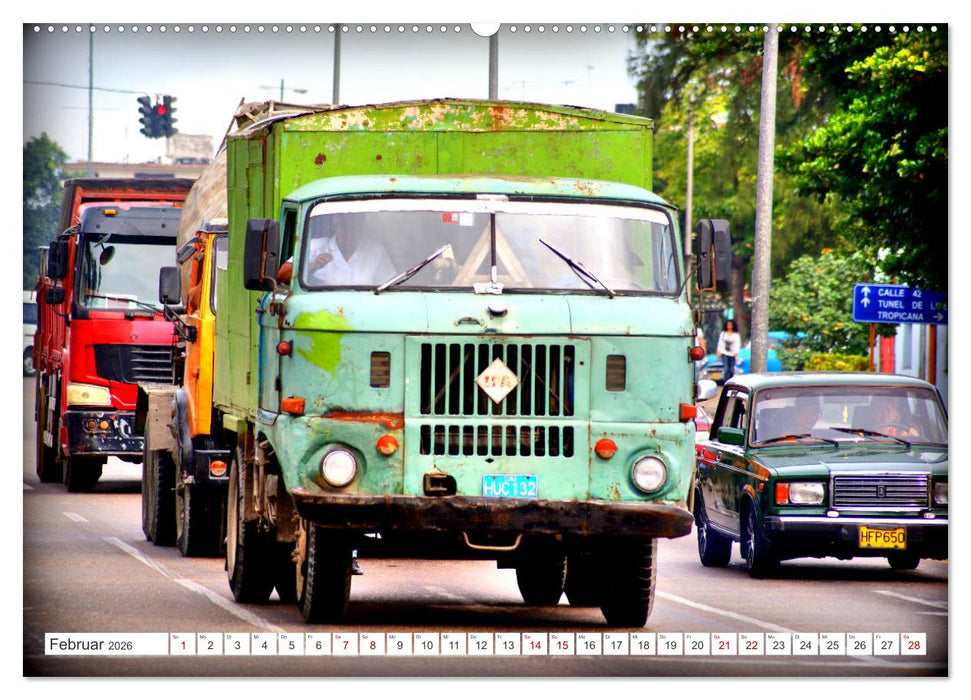 BEST OF IFA (CALVENDO Wandkalender 2026)