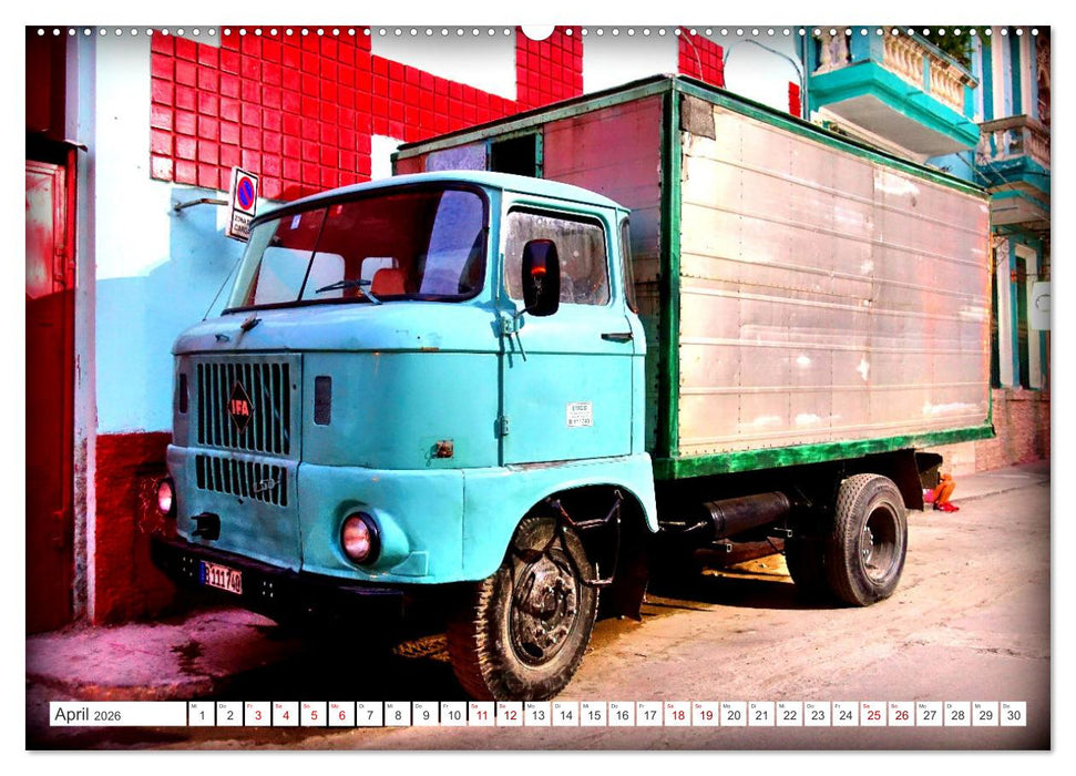 BEST OF IFA (CALVENDO Wandkalender 2026)