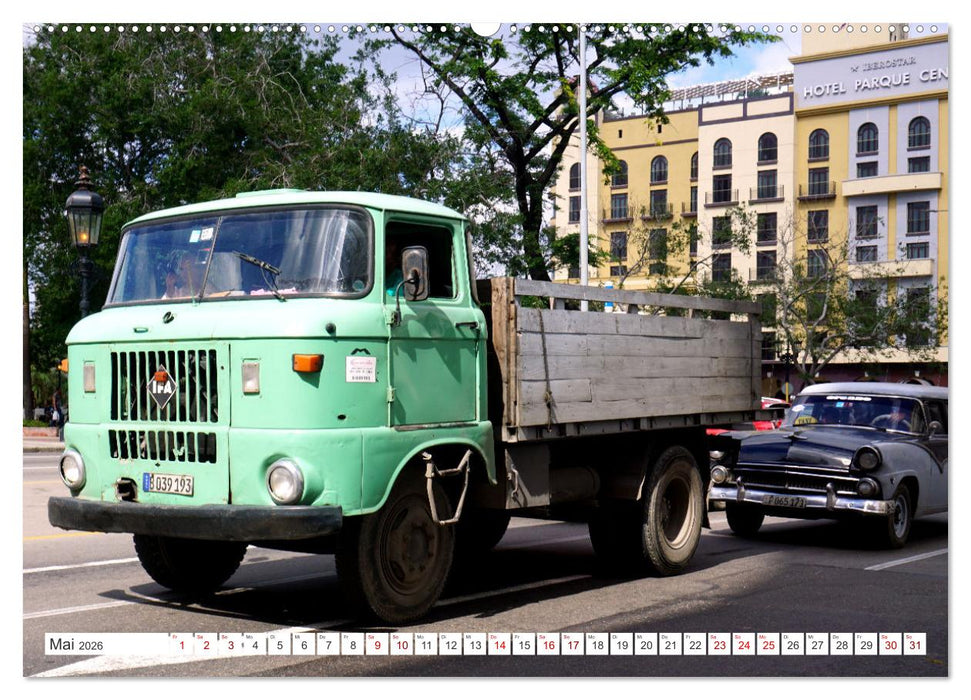 BEST OF IFA (CALVENDO Wandkalender 2026)