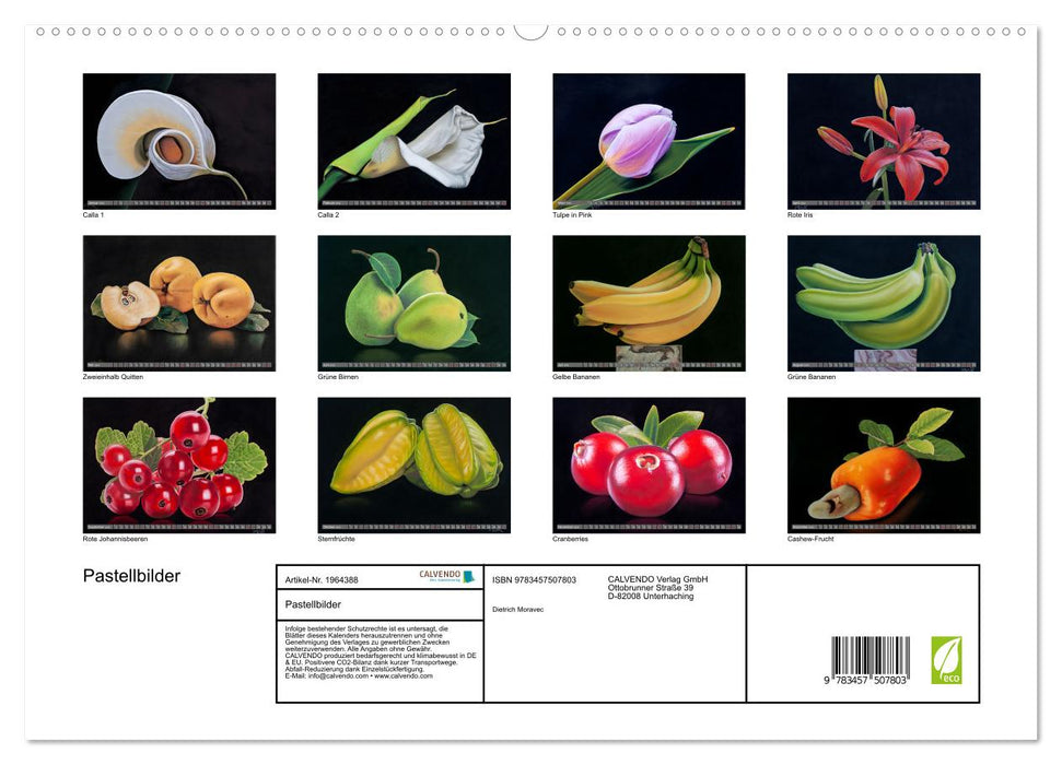 Pastellbilder (CALVENDO Premium Wandkalender 2026)