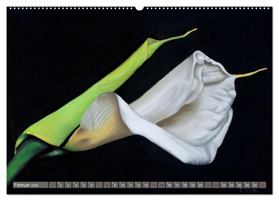 Pastellbilder (CALVENDO Premium Wandkalender 2026)