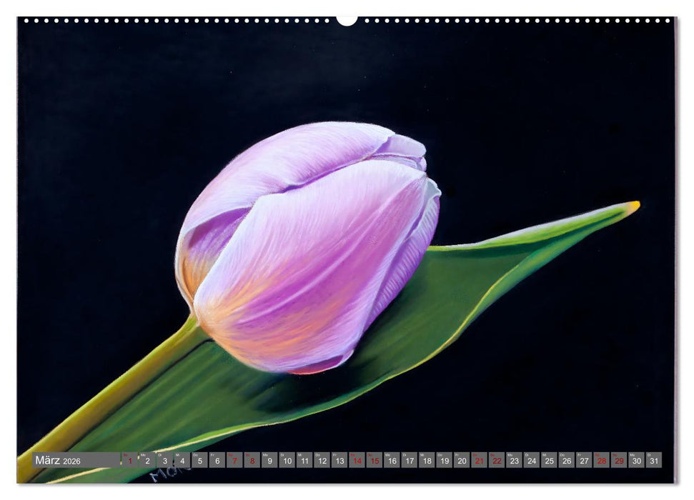 Pastellbilder (CALVENDO Premium Wandkalender 2026)