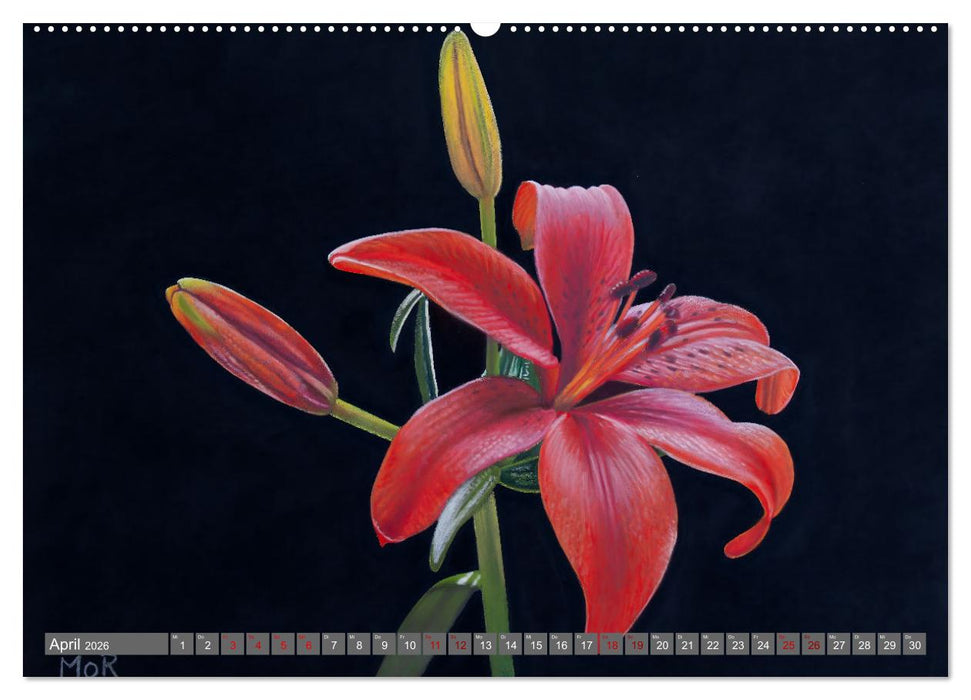 Pastellbilder (CALVENDO Premium Wandkalender 2026)