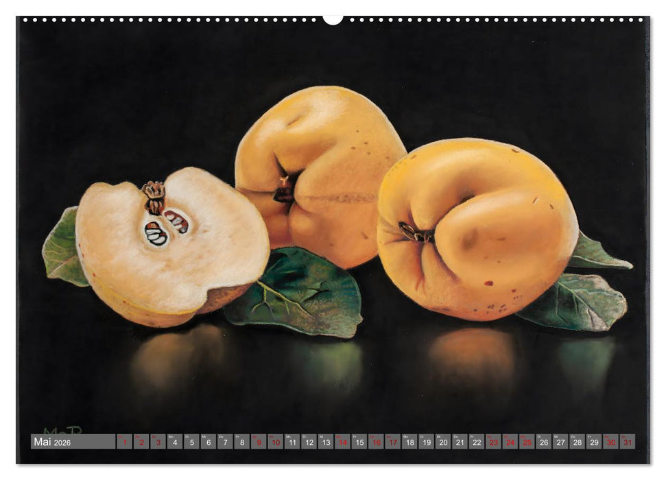 Pastellbilder (CALVENDO Premium Wandkalender 2026)