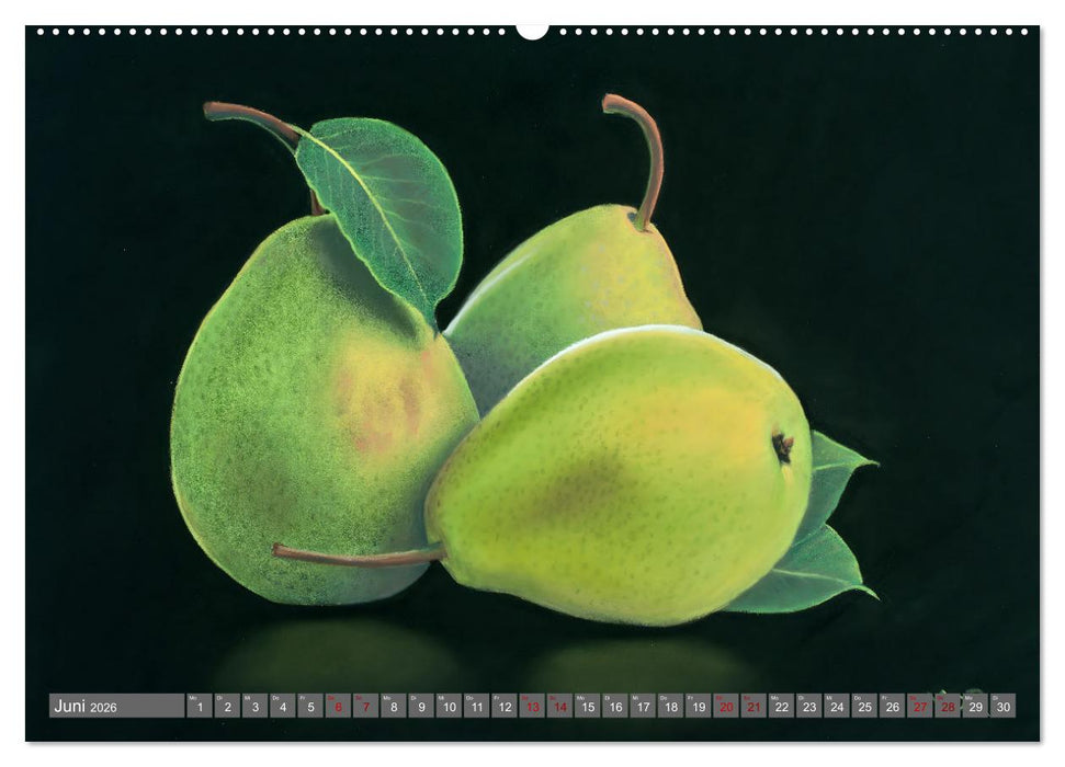 Pastellbilder (CALVENDO Premium Wandkalender 2026)