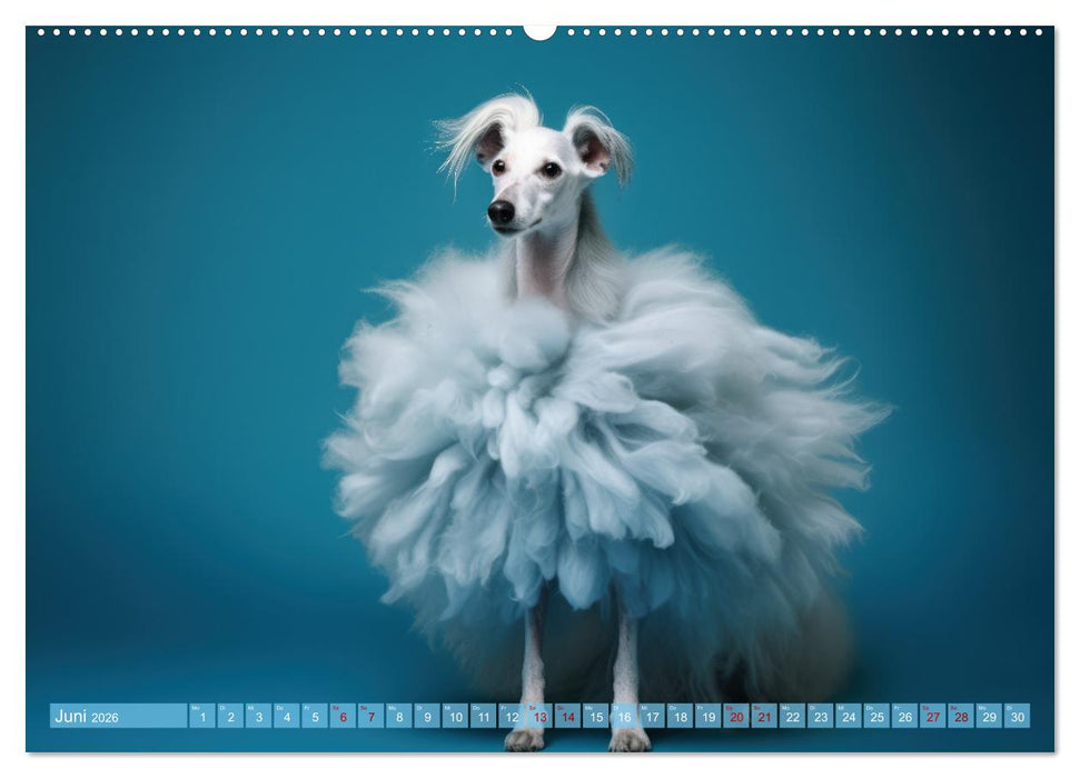 Hundemode vom Dogwalk (CALVENDO Premium Wandkalender 2026)
