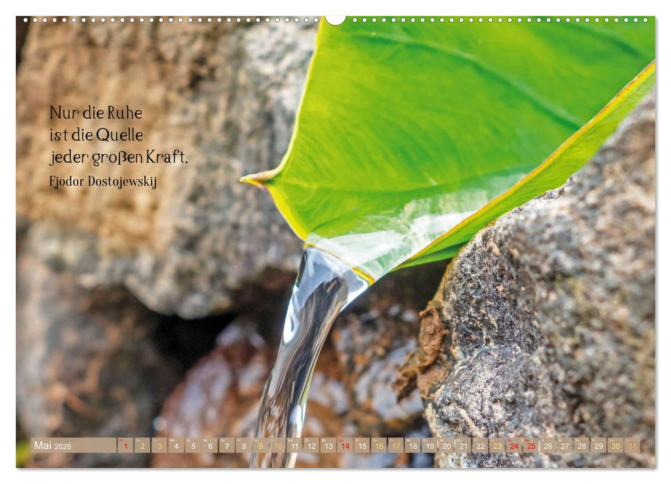 Natur-Meditationen - Nimm Dir Zeit (CALVENDO Wandkalender 2026)