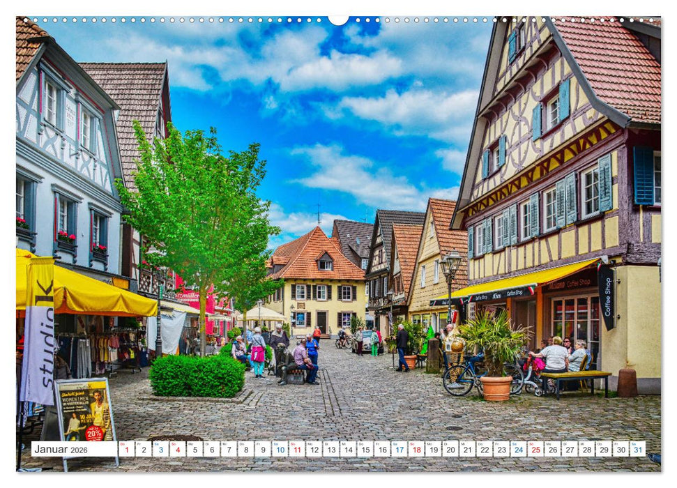 Haslach im Kinzigtal - Die quicklebendige Marktstadt (CALVENDO Wandkalender 2026)