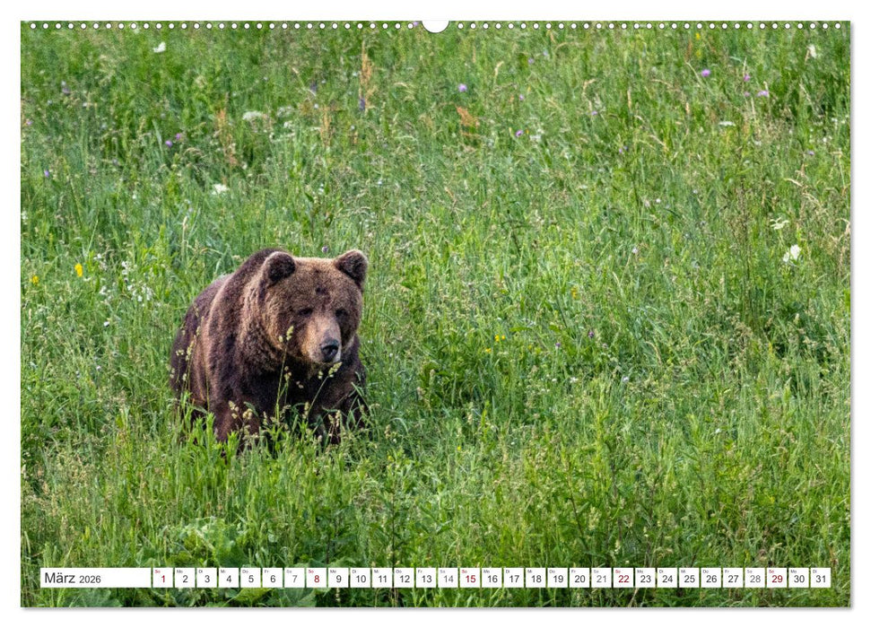 Faszination Bosnien-Herzegowina (CALVENDO Wandkalender 2026)