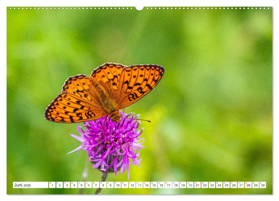 Faszination Bosnien-Herzegowina (CALVENDO Wandkalender 2026)