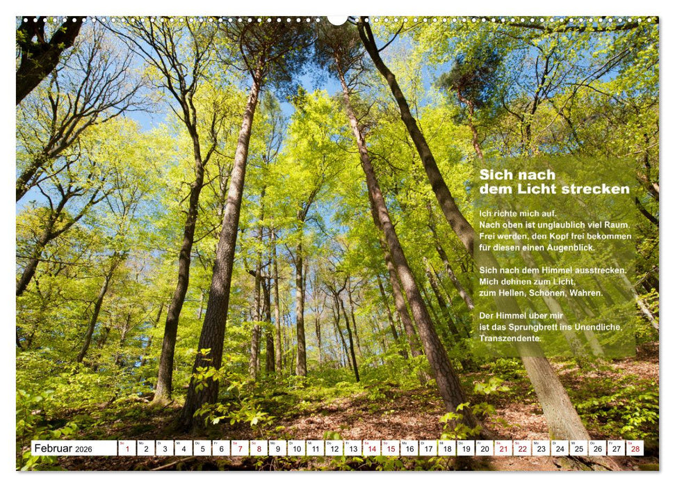 Stehen wie ein Baum (CALVENDO Wandkalender 2026)