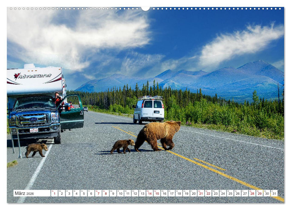KANADA - Die Bären der Rocky Mountains (CALVENDO Wandkalender 2026)