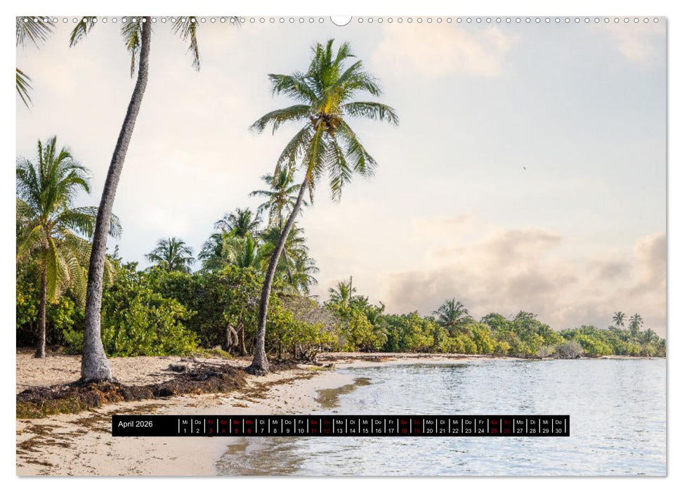 Urlaub Pur, 12 Strände aus 12 Ländern (CALVENDO Premium Wandkalender 2026)