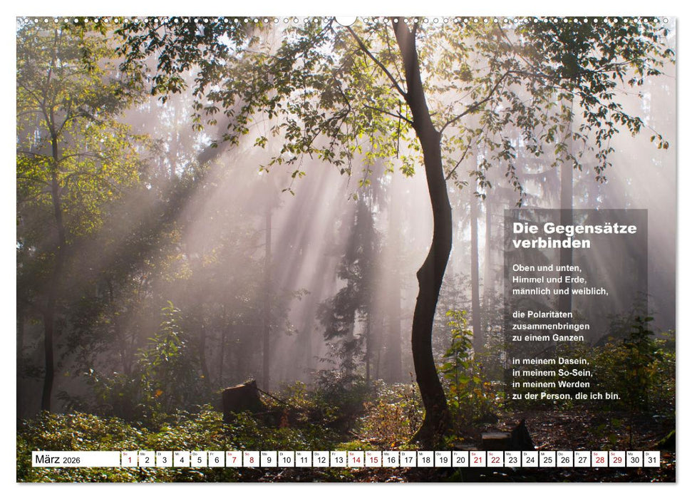Stehen wie ein Baum (CALVENDO Premium Wandkalender 2026)
