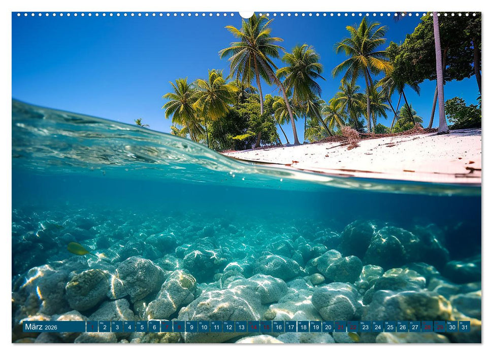 Schnorcheltiefe (CALVENDO Premium Wandkalender 2026)