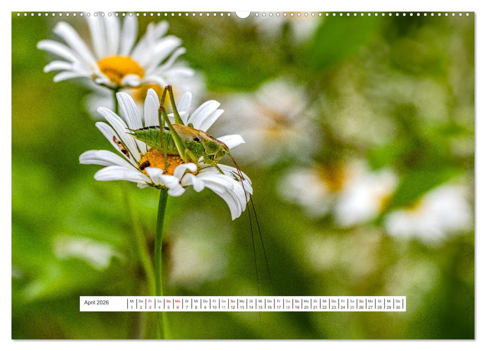 Der Una Nationalpark (CALVENDO Premium Wandkalender 2026)