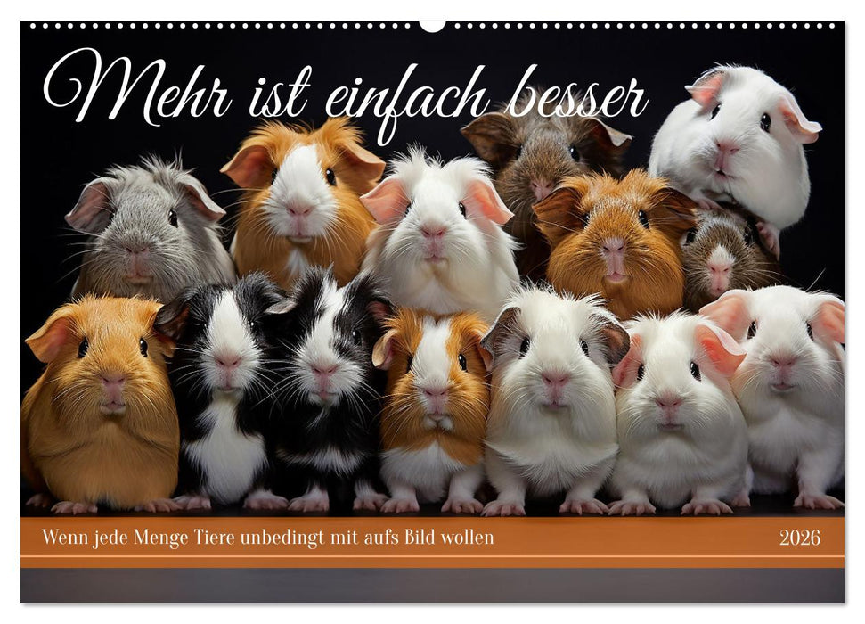 Mehr ist einfach besser (CALVENDO Wandkalender 2026)