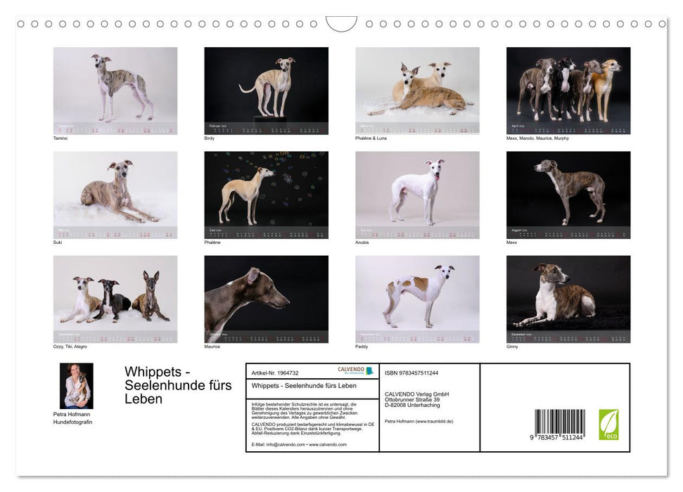 Whippets - Seelenhunde fürs Leben (CALVENDO Wandkalender 2026)
