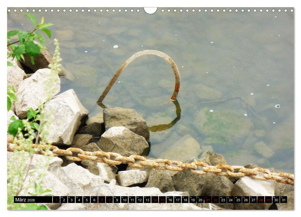 Liebe ist das gelbe vom Ei (CALVENDO Wandkalender 2026)