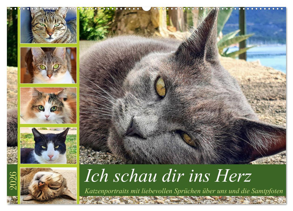 Ich schau dir ins Herz (CALVENDO Wandkalender 2026)