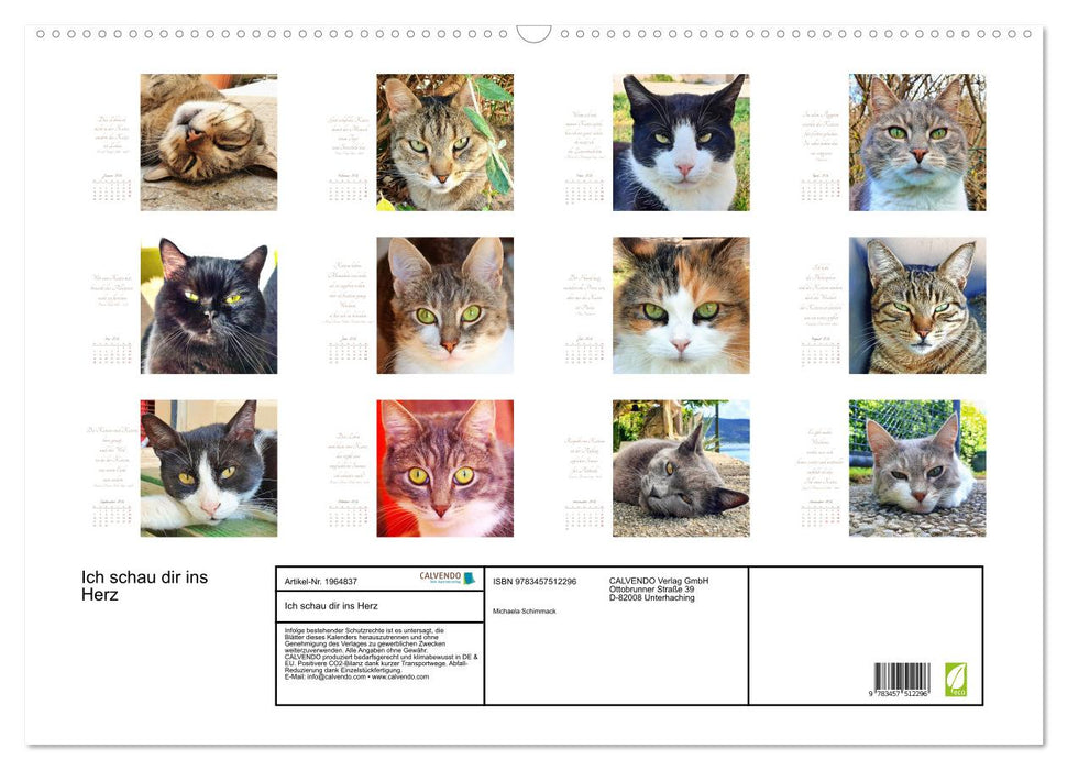 Ich schau dir ins Herz (CALVENDO Wandkalender 2026)