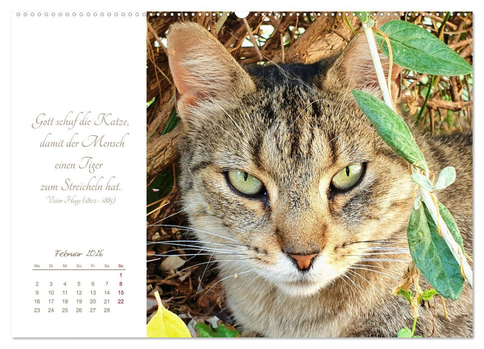 Ich schau dir ins Herz (CALVENDO Wandkalender 2026)