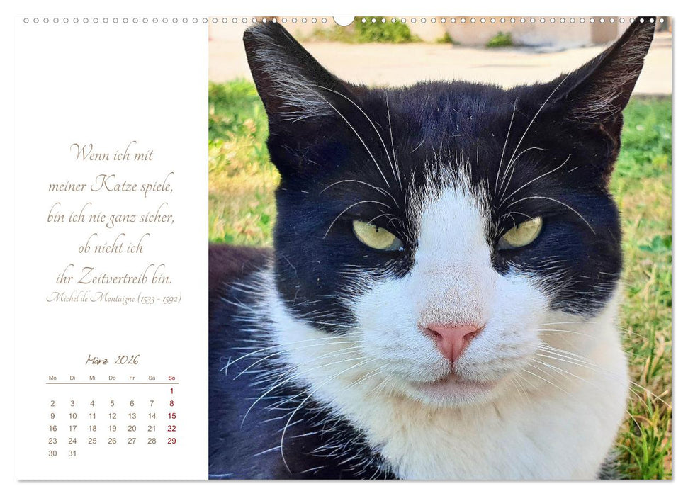 Ich schau dir ins Herz (CALVENDO Wandkalender 2026)