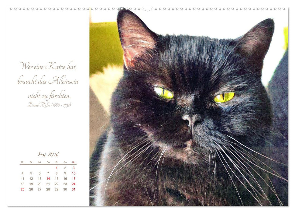 Ich schau dir ins Herz (CALVENDO Wandkalender 2026)