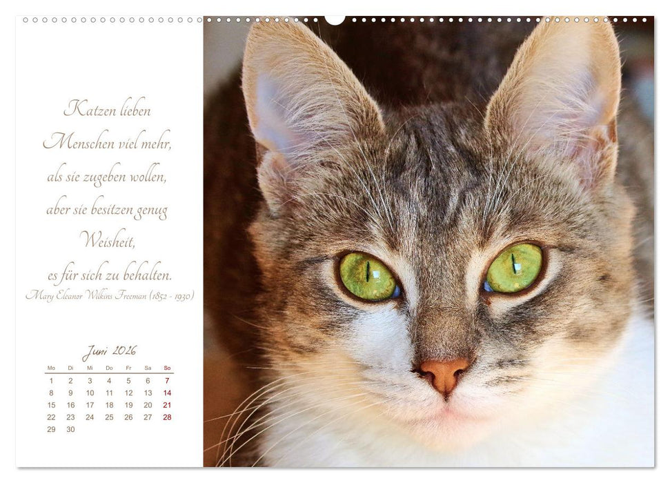 Ich schau dir ins Herz (CALVENDO Wandkalender 2026)