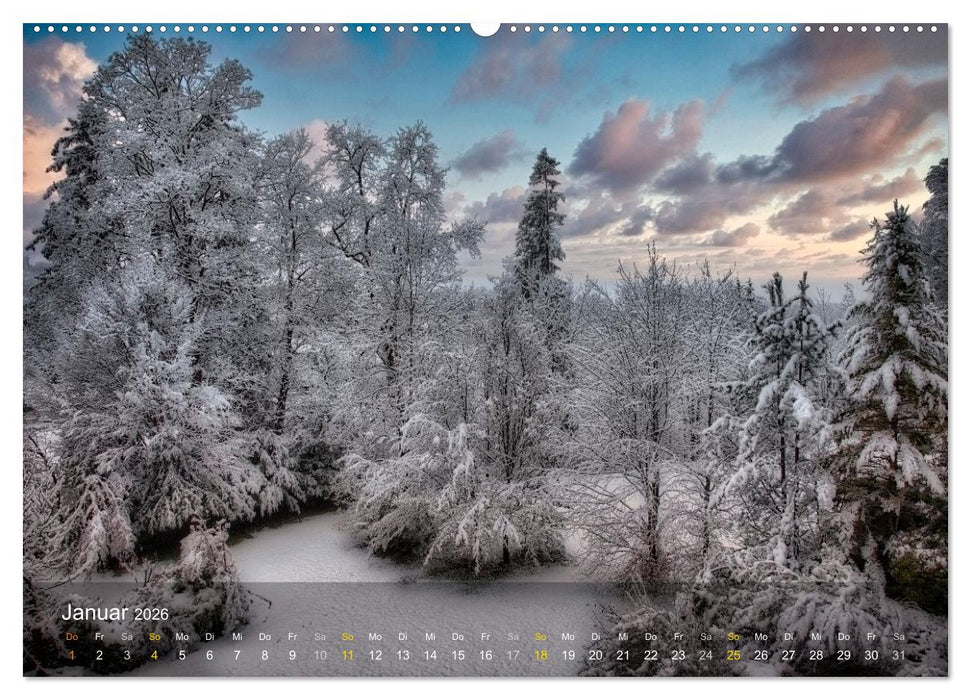 Das Schweigen der Bäume (CALVENDO Premium Wandkalender 2026)