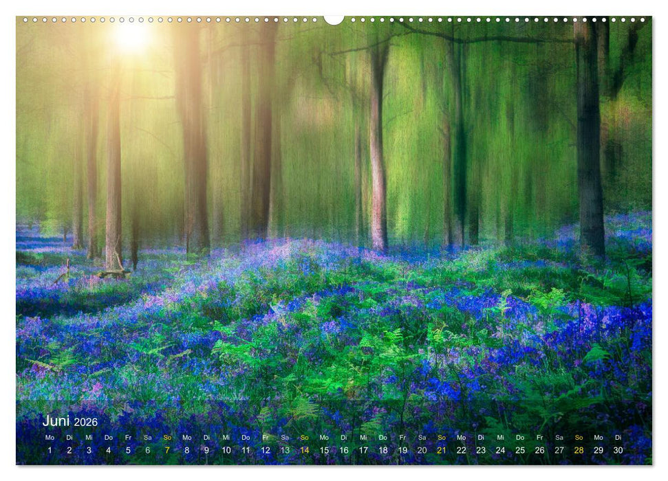 Das Schweigen der Bäume (CALVENDO Premium Wandkalender 2026)