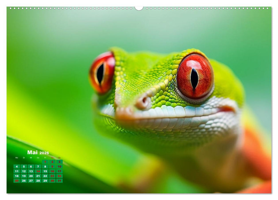 Quer durch die Tierwelt der Erde (CALVENDO Premium Wandkalender 2026)
