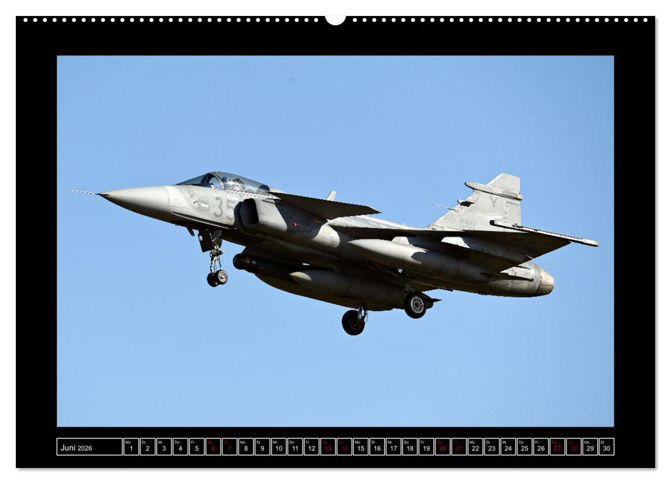 AIR DEFENDER 2023 - über den Zaun geschaut (CALVENDO Premium Wandkalender 2026)